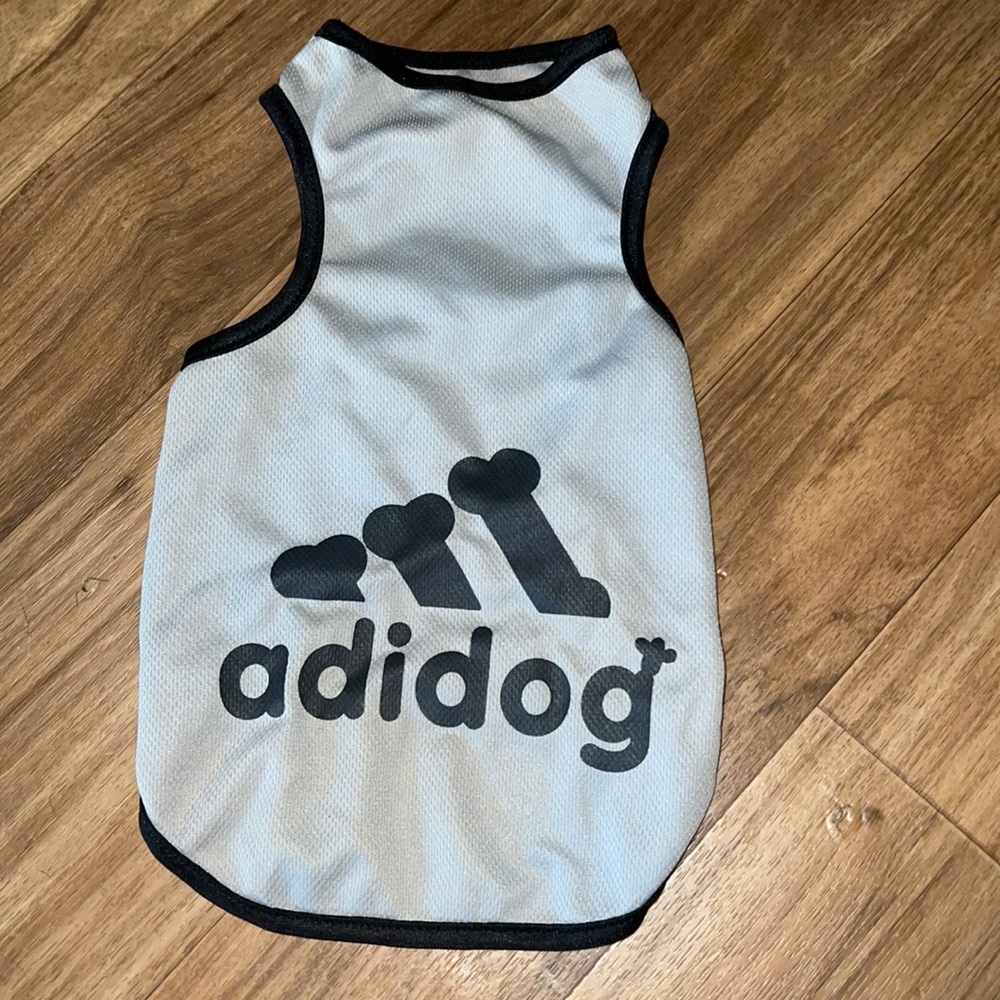 Small dog
